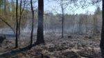 požár - lesní porost - Dolní Slivno - 22.4.2019